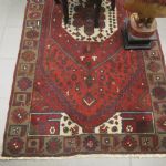 716 5669 ORIENTAL RUG